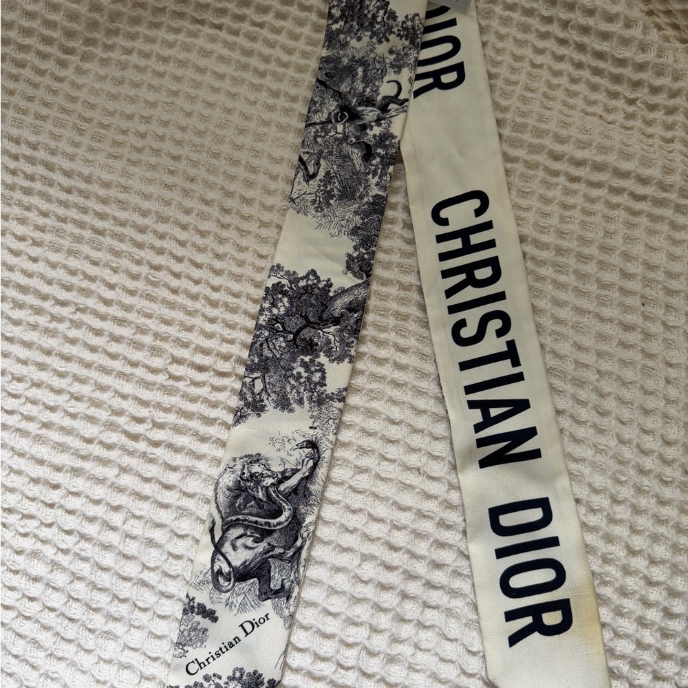 Dior Twilly Scarf
